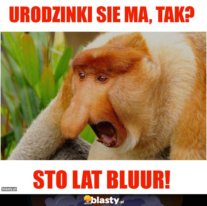 Urodzinki sie ma, tak?