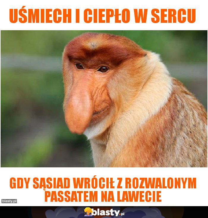 Uśmiech i ciepło w sercu