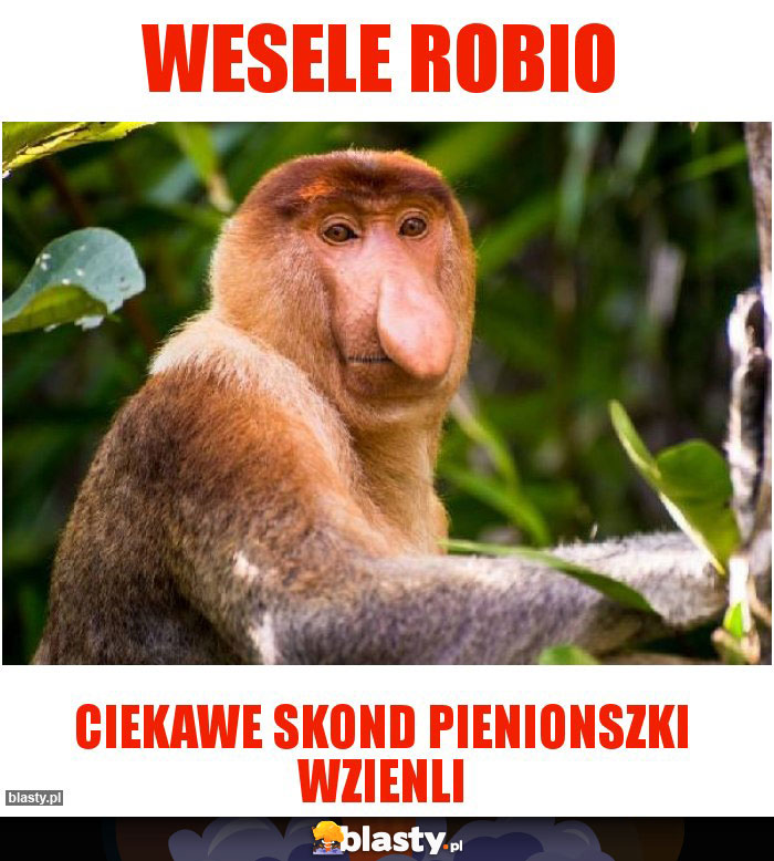 Wesele robio