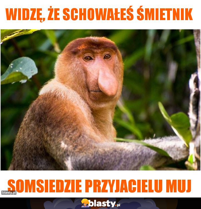 Widzę, że schowałeś śmietnik