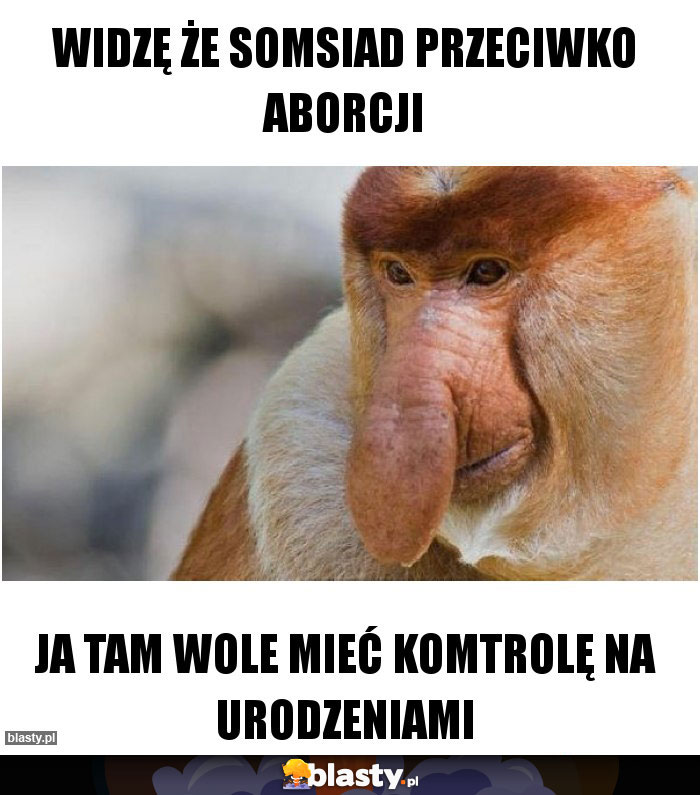 Widzę że somsiad przeciwko aborcji