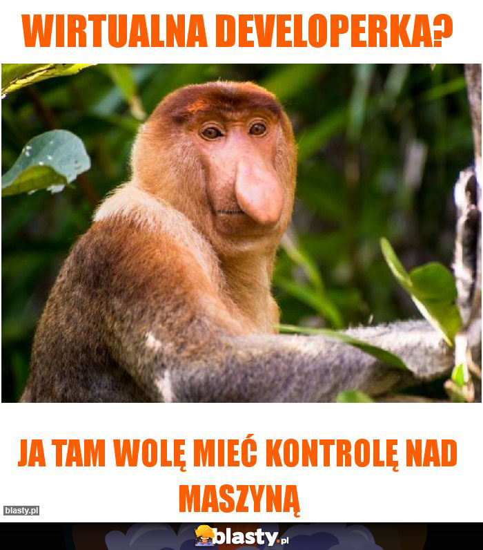 Wirtualna developerka?