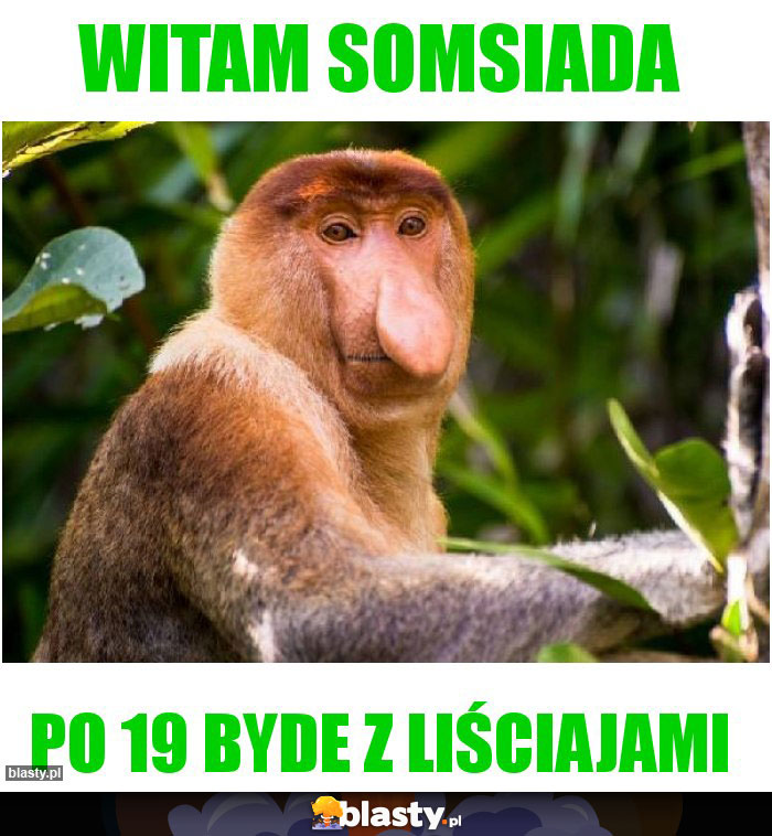 Witam somsiada