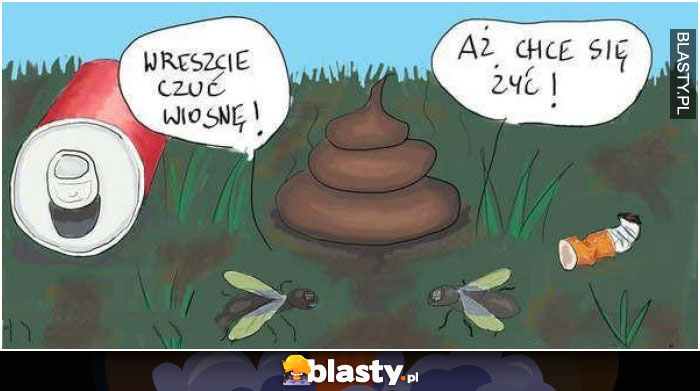 Wreszcie czuć wiosnę aż chce się żyć