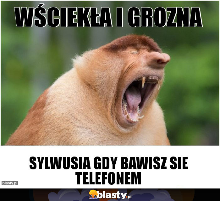 Wściekła i grozna