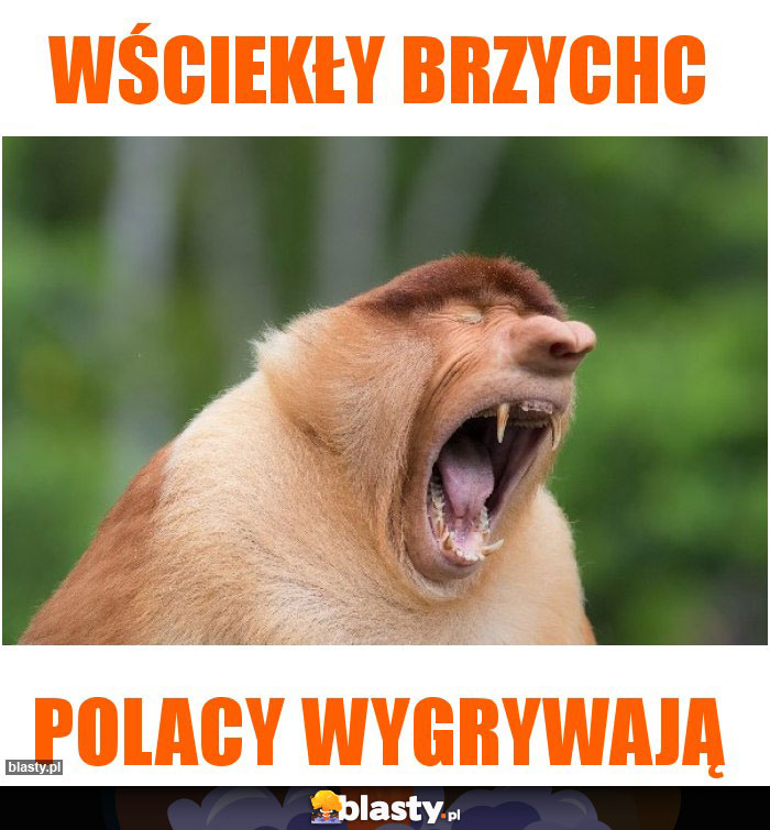 Wściekły Brzychc