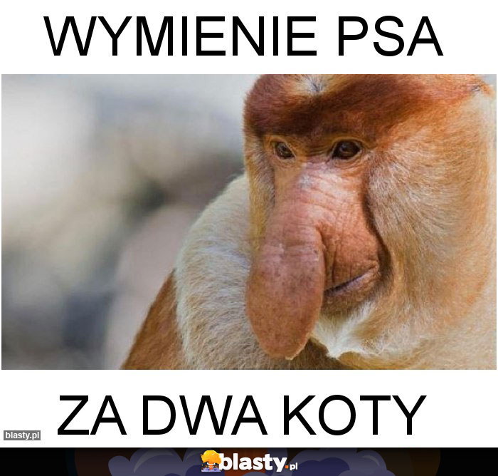 Wymienie psa