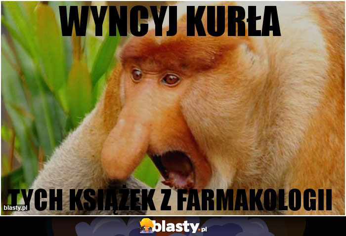 WYNCYJ KURŁA