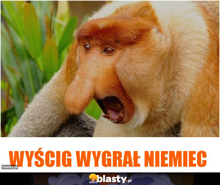 Wyścig wygrał niemiec