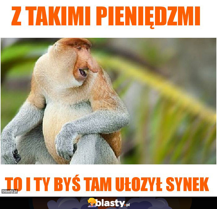 Z takimi pieniędzmi