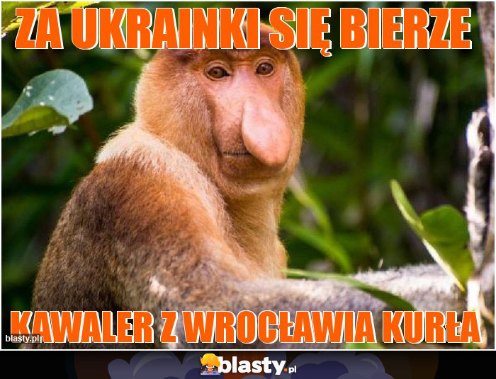 Za Ukrainki się bierze