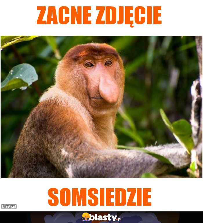 Zacne zdjęcie