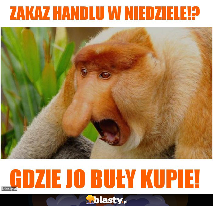 ZAKAZ HANDLU W NIEDZIELE!?