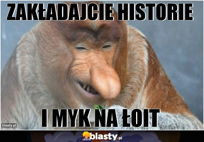 zakładajcie historie