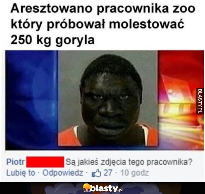 Zdjęcia