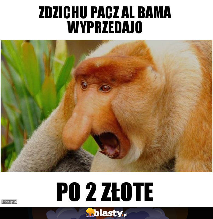 Zdzichu pacz Al Bama wyprzedajo