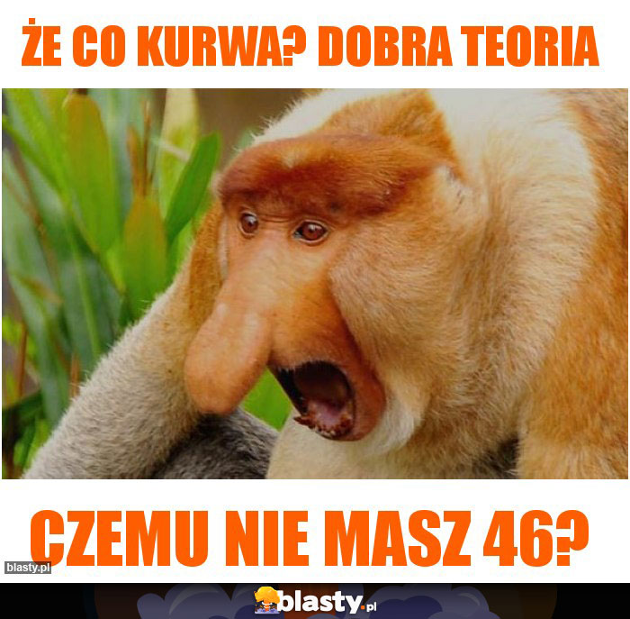 Że co kurwa? dobra teoria