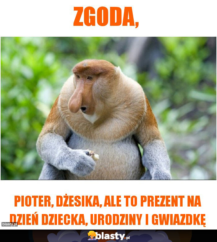 zgoda,