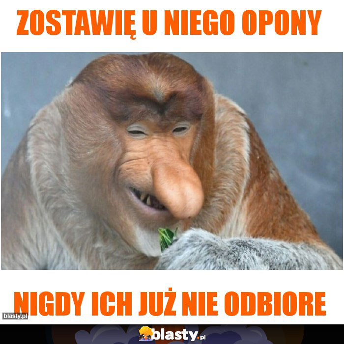 Zostawię u niego opony