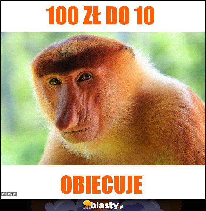 100 zł do 10