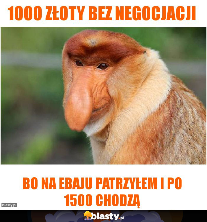 1000 złoty bez negocjacji