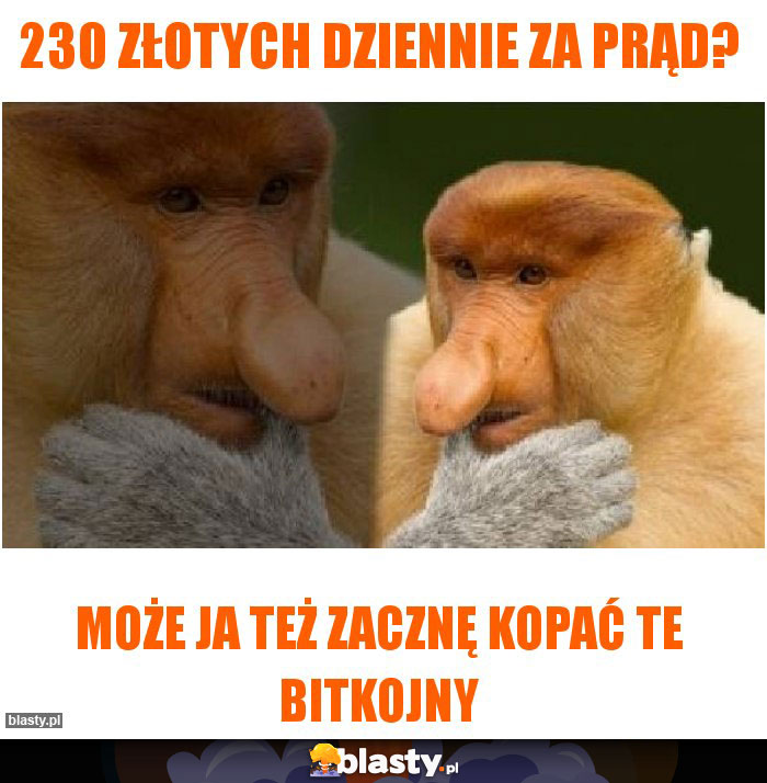 230 złotych dziennie za prąd?