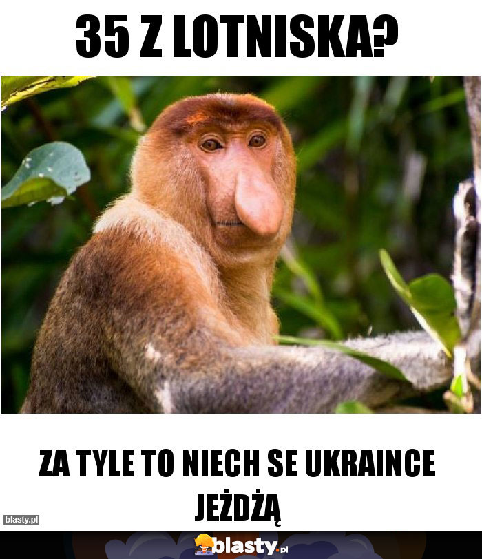 35 z lotniska?