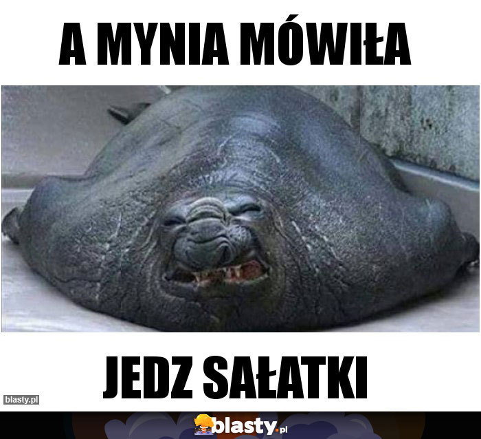 A Mynia mówiła