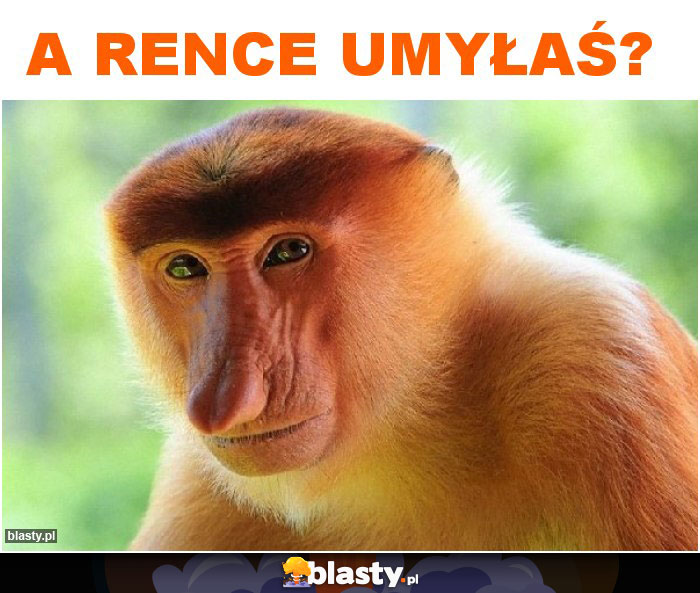 a rence umyłaś?