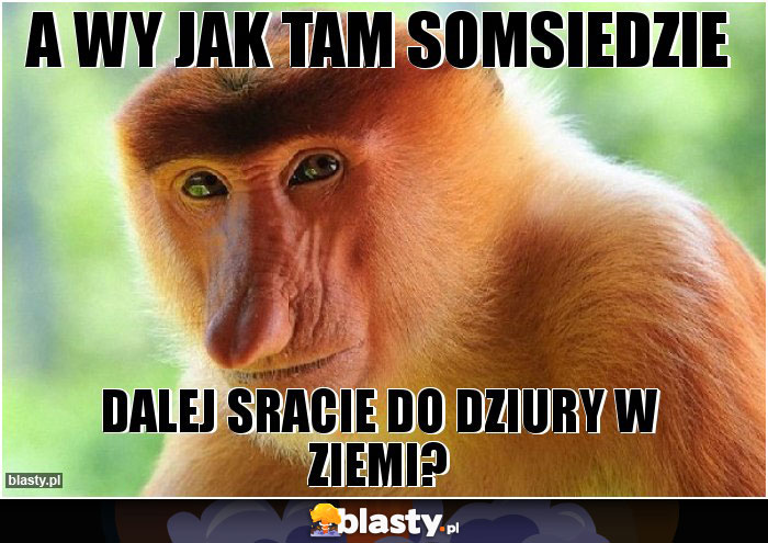 A wy jak tam somsiedzie