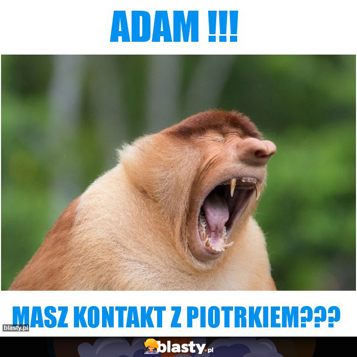 Adam !!!