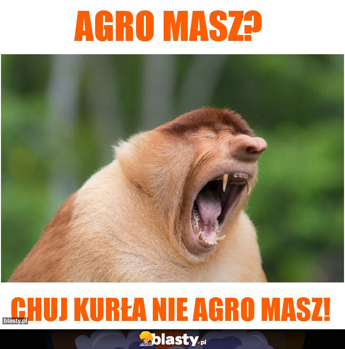 Agro masz?