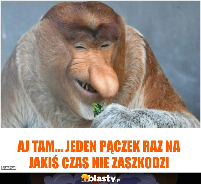 aj tam... jeden pączek raz na jakiś czas nie zaszkodzi