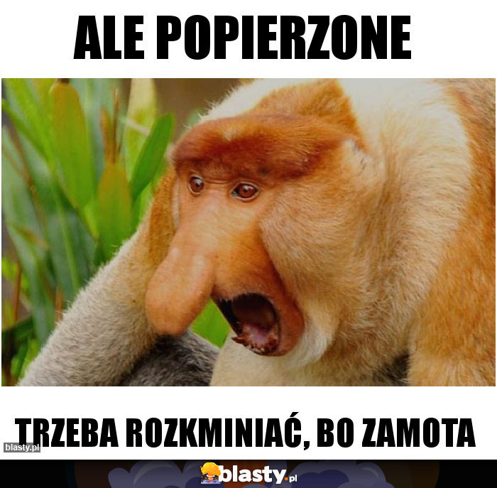 ALE POPIERZONE