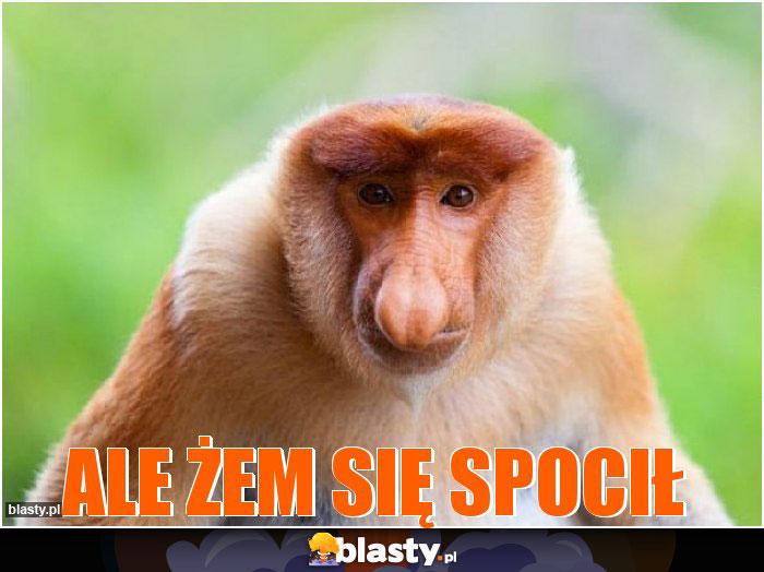 Ale żem się spocił