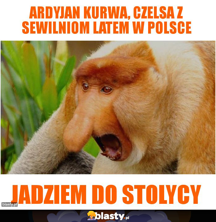 Ardyjan kurwa, Czelsa z Sewilniom latem w Polsce