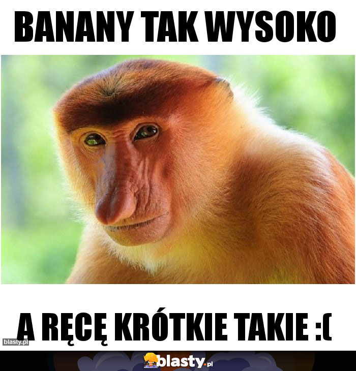 Banany tak wysoko