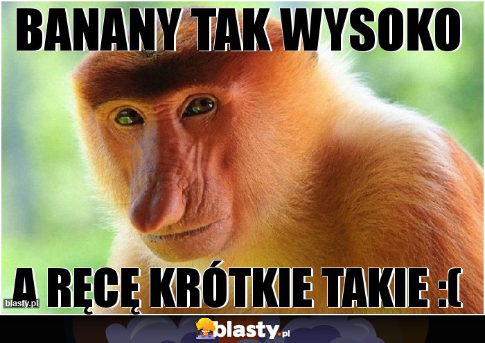 Banany tak wysoko