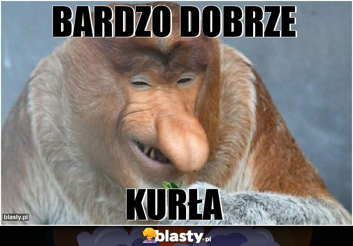 Bardzo dobrze