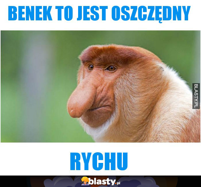 BENEK TO JEST OSZCZĘDNY