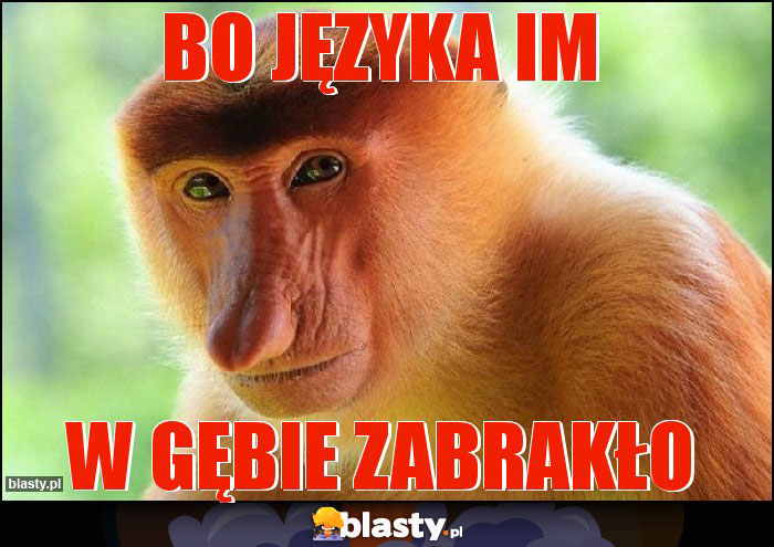 Bo języka im