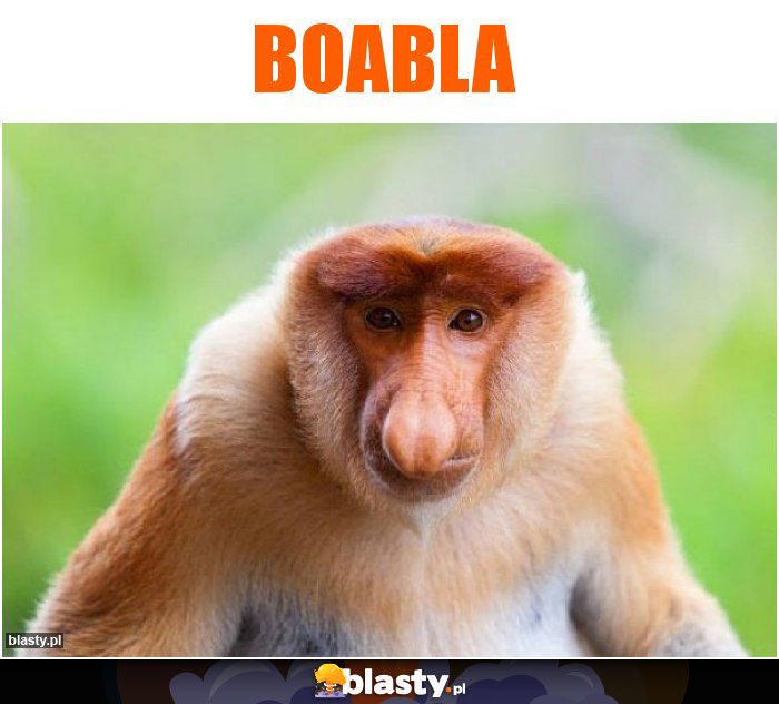 Boabla