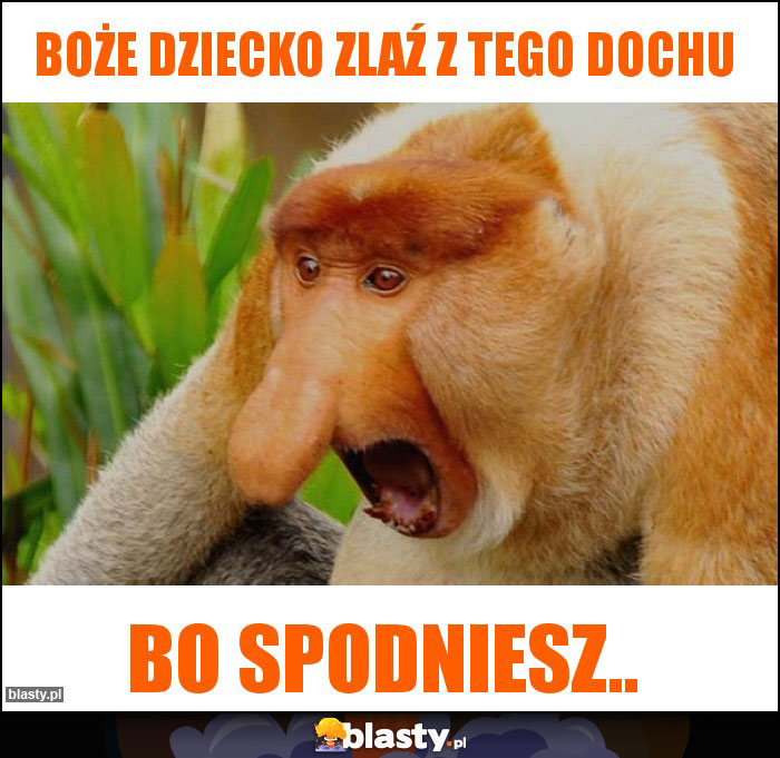 Boże dziecko zlaź z tego dochu