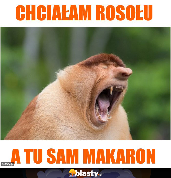 chciałam rosołu