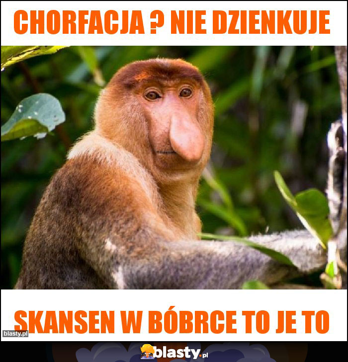 Chorfacja ? Nie dzienkuje