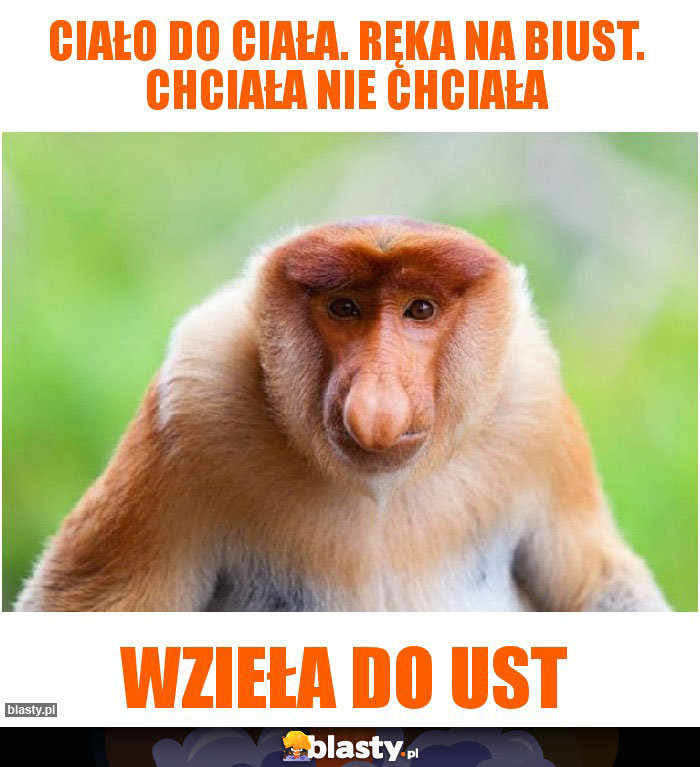 Ciało do Ciała. Ręka na Biust. Chciała nie chciała