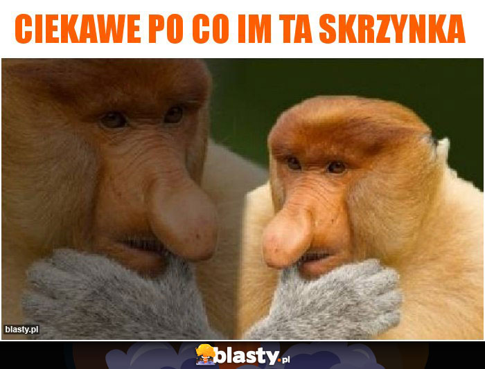 Ciekawe po co im ta skrzynka