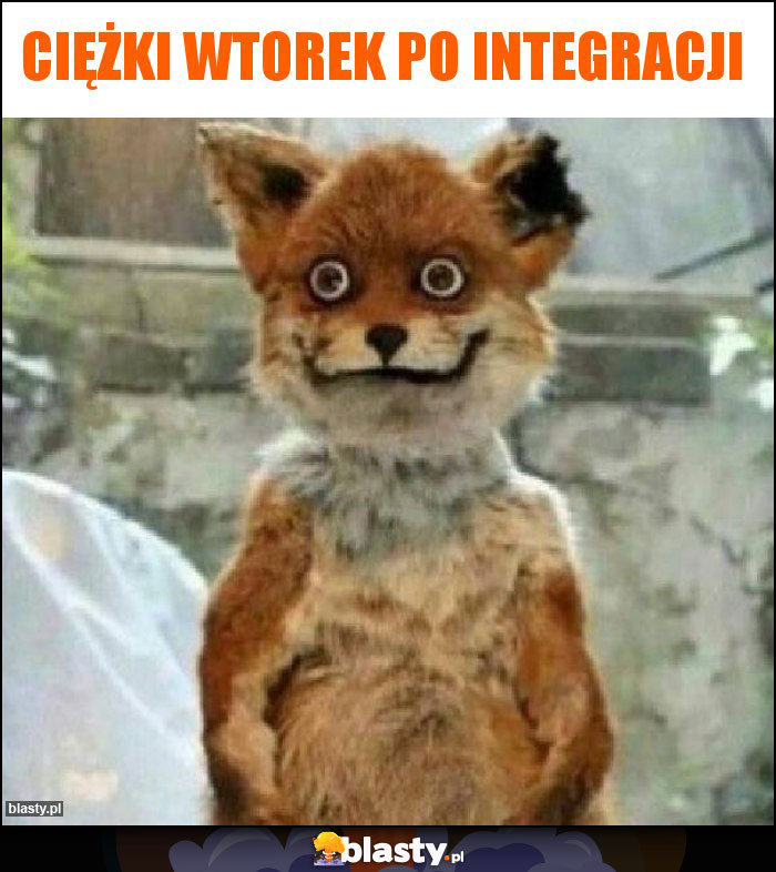 Ciężki wtorek po integracji