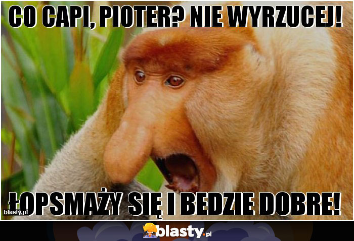 Co capi, pioter? Nie wyrzucej!