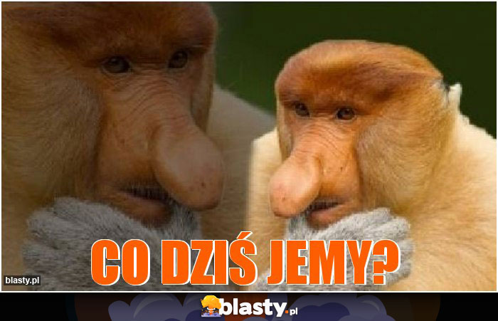 Co dziś jemy?